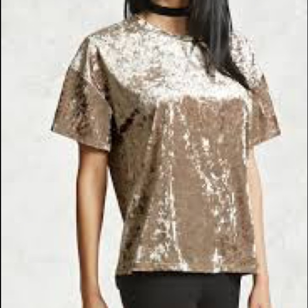 GREAT CONDITION Champagne Velvet Top